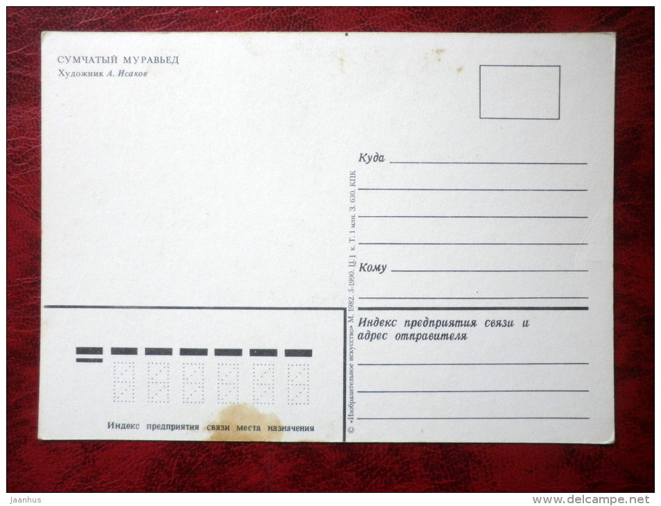 Numbat - Marsupial anteater - Myrmecobius fasciatus - animals - 1982 - Russia - USSR - unused - JH Postcards