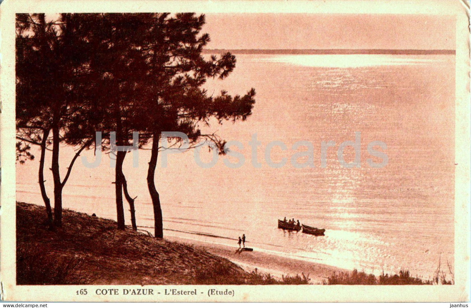 Cote d'Azur - L'Esterel - etude - 165 - old postcard - France - unused - JH Postcards