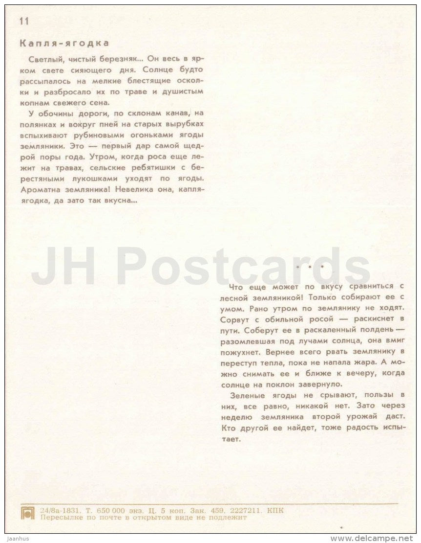Wild Strawberry - girls - Nature Encounter - 1973 - Russia USSR - unused - JH Postcards