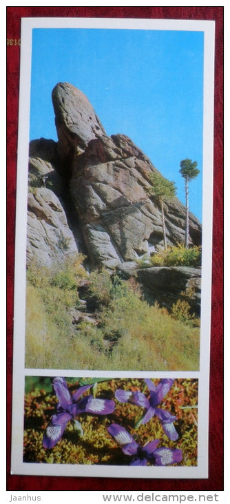 taiga flowers - Stolby National Nature Reserve - Siberia - 1978 - Russia USSR - unused - JH Postcards