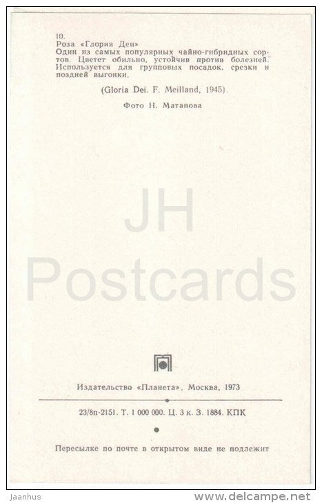 Gloria Dei - flowers - Roses - Russia USSR - 1973 - unused - JH Postcards