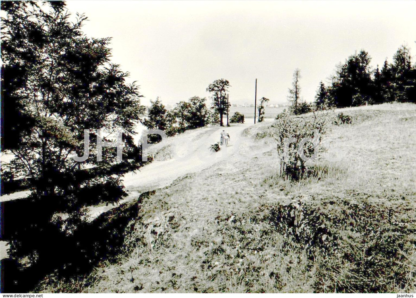 Strz - Karel Capek House at Strz - The path to Stara Hut - 12 - Czech Repubic - Czechoslovakia - unused - JH Postcards