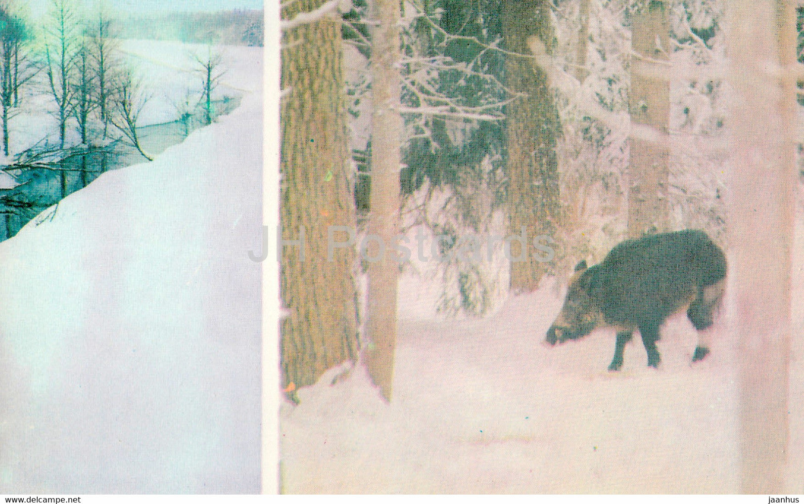 Belovezhskaya Pushcha National Park - The Wild Boar - A Forest stream - 1981 - Berarus USSR - unused - JH Postcards