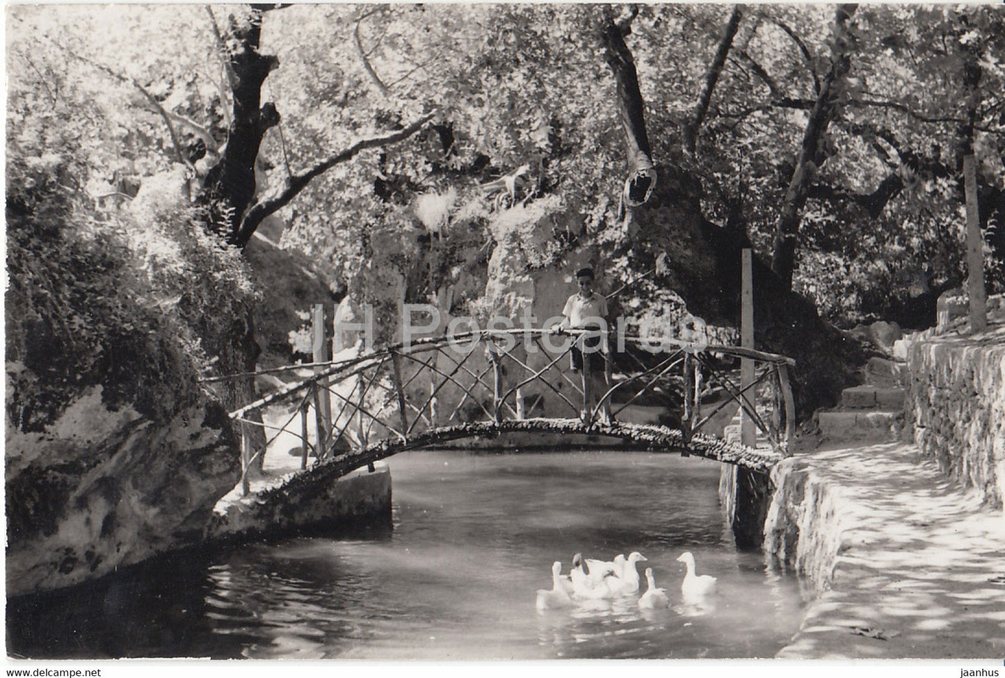 Rhodes - Rhodos - Rodino - swan - birds - Greece - used - JH Postcards