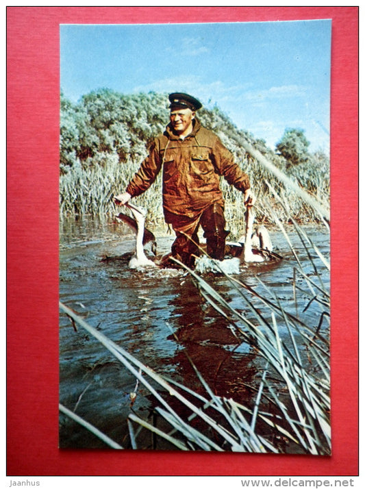 Astrakhan State Reserve - catching pelicans - delta of Volga river - 1969 - USSR Russia - unused - JH Postcards