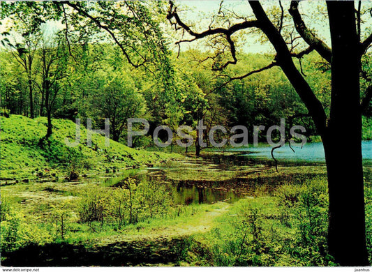 Bornholm - Almindingen - 1228 - Denmark - unused - JH Postcards