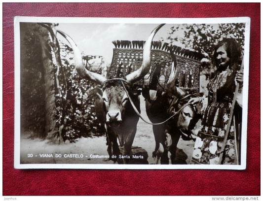 VIANA DO CASTELO Costumes de Santa Marta - bulls - woman in folk costumes - old postcard - Portugal - used - JH Postcards
