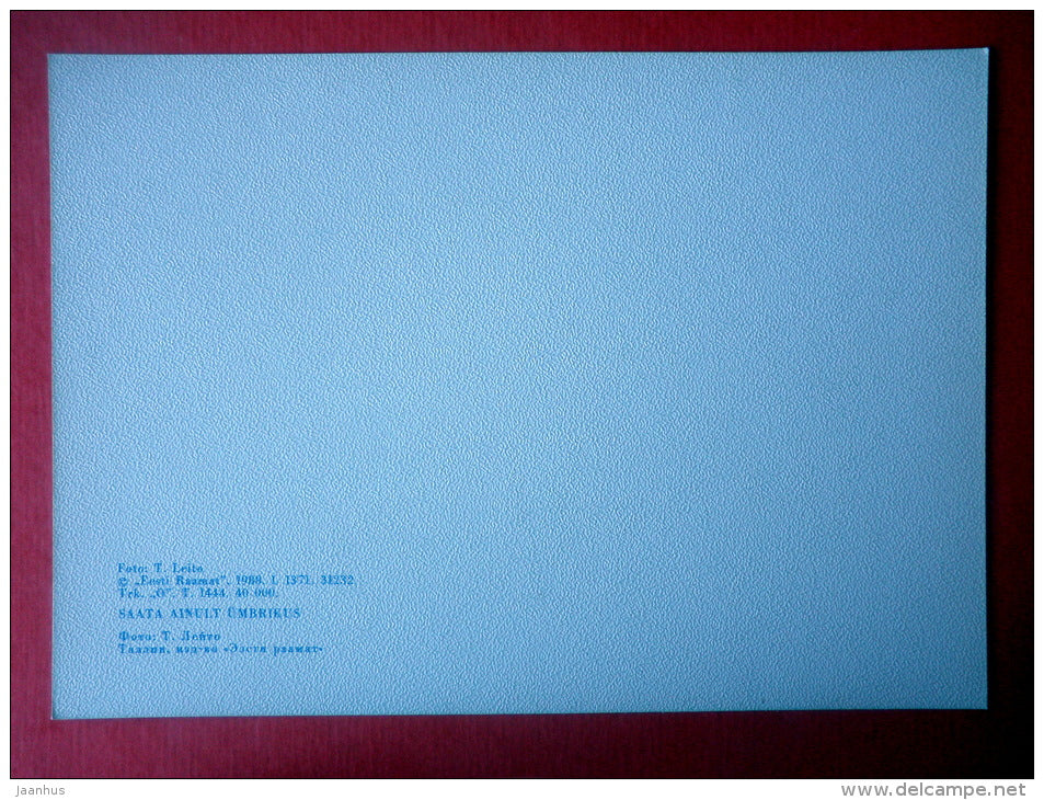 Estonia in Winter - sea - ice - 1988 - Estonia USSR - unused - JH Postcards