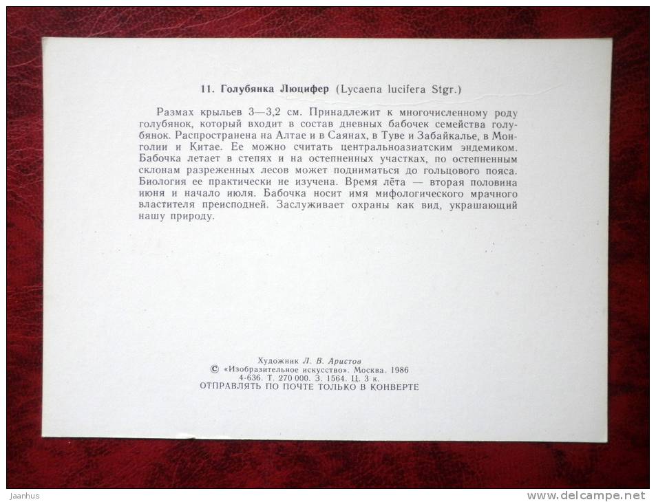 Lycaena lucifera - butterflies - 1986 - Russia - USSR - unused - JH Postcards