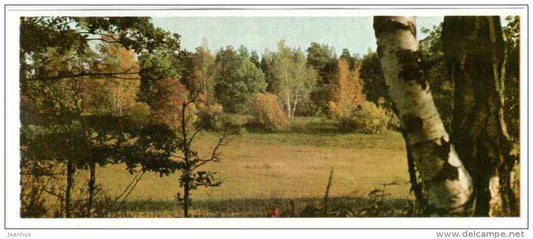 Landscape - Prioksko-Terrasny Nature Reserve - 1976 - Russia USSR - unused - JH Postcards