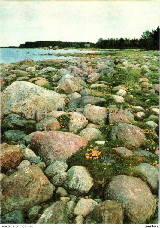 Lahemaa - The Seashore - 1 - 1978 - Estonia USSR - unused - JH Postcards