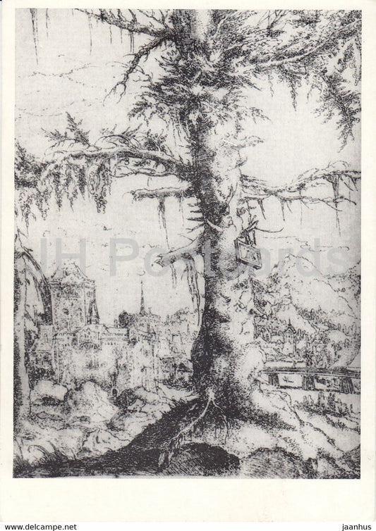 painting by Albrecht Altdorfer - Landschaft mit Fichte - Landscape with spruce - German art - 1977 - Germany - unused - JH Postcards