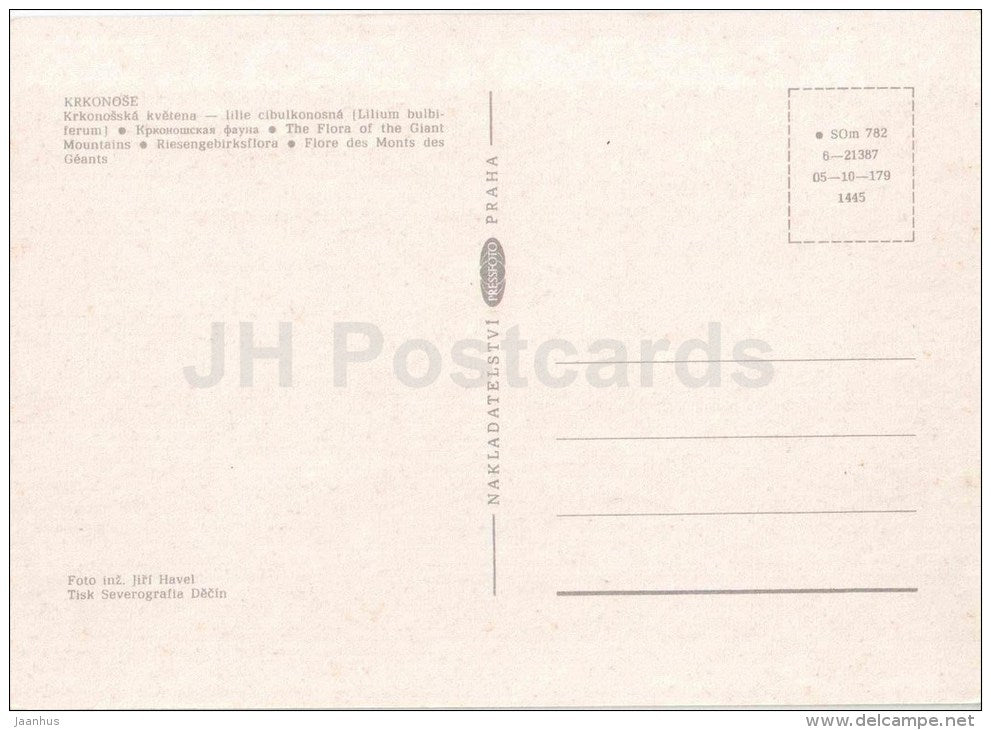 Krkonose - The Flora of the Giant Mountains - lily - Czechoslovakia - Czech - unused - JH Postcards