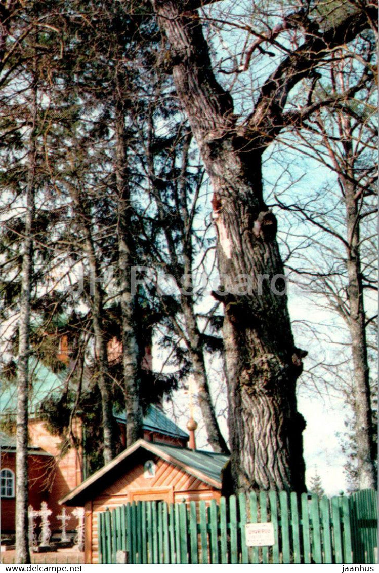 Puhtitsa Convent - The Chapel by an Oak Tree - Estonia - unused - JH Postcards