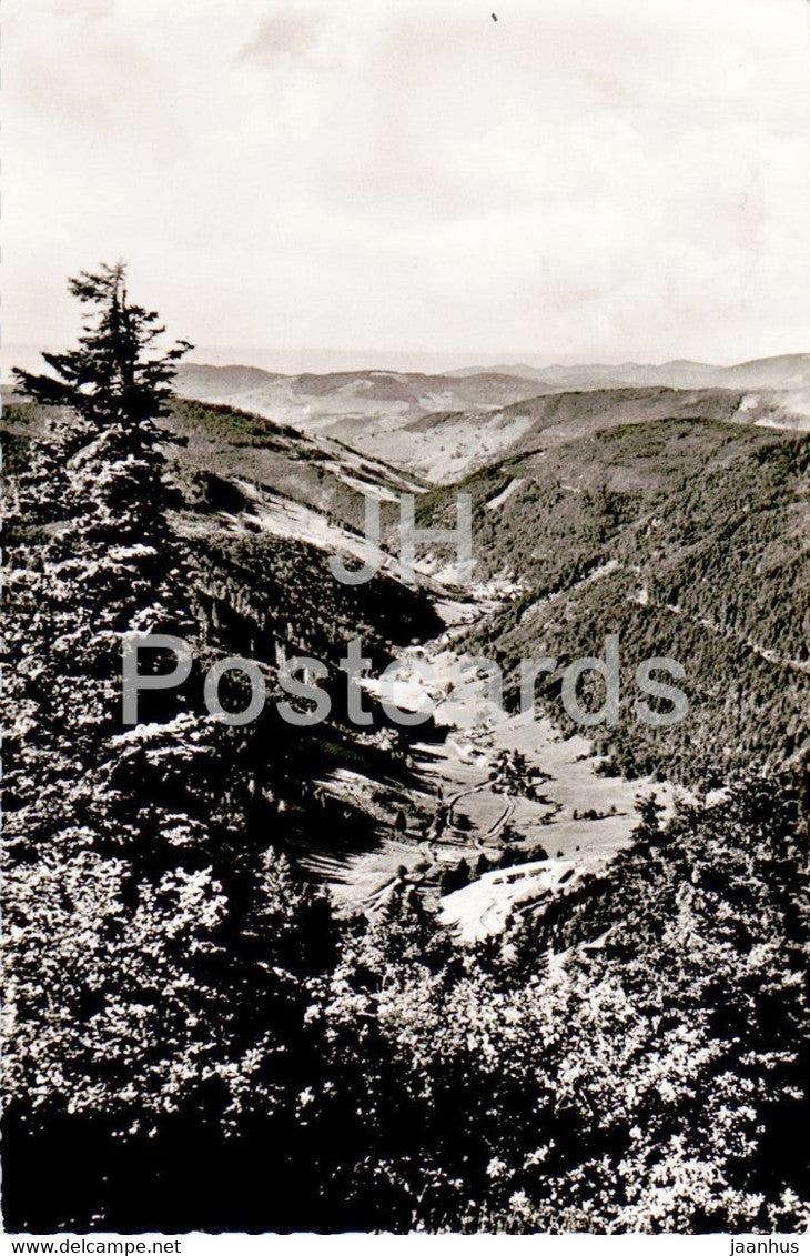 Feldberg - Wiesetalblick - old postcard - 1950s - Germany - used - JH Postcards