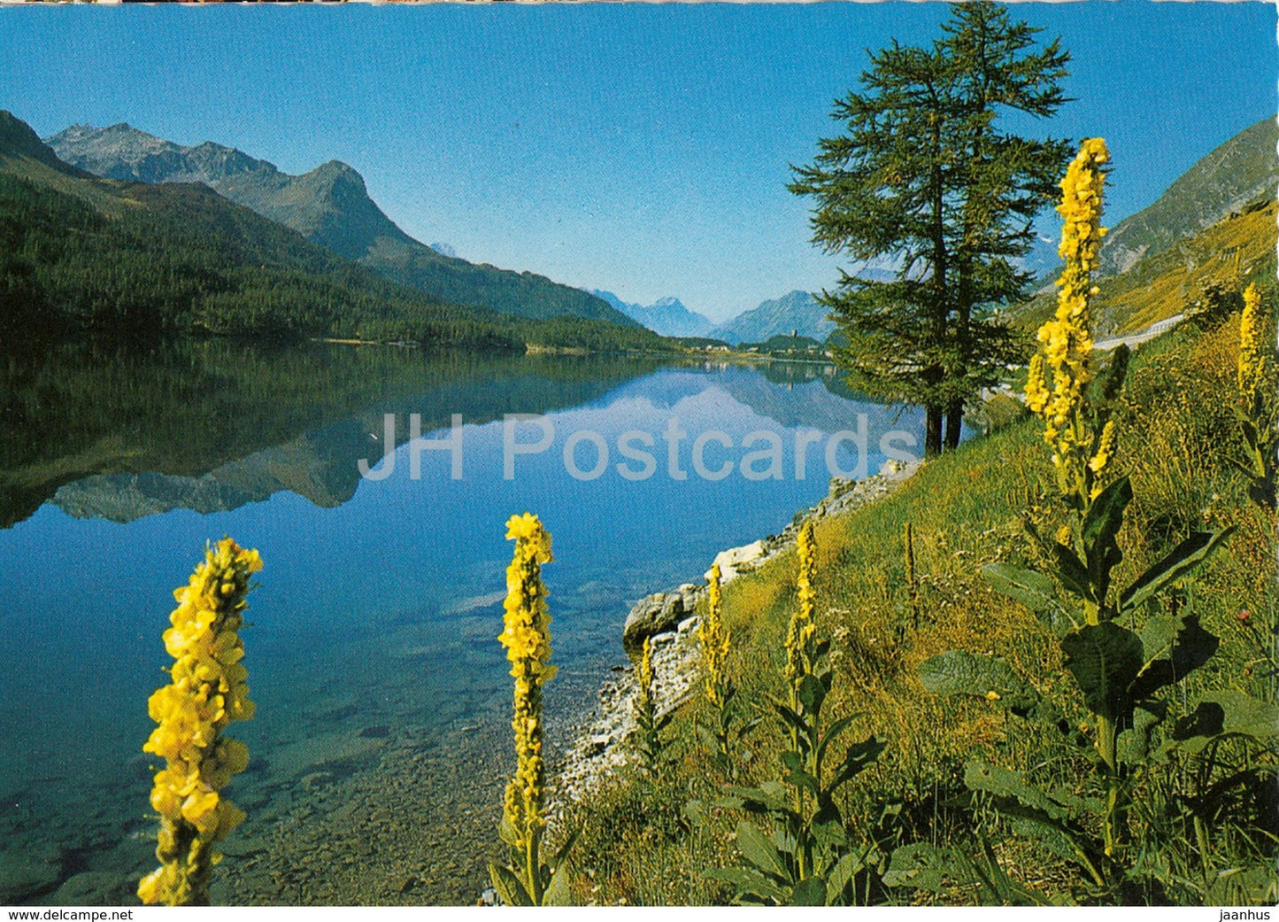 Sommertag am Silsersee - Oberengadin - Maloja - Bergeller Berge - Switzerland - unused - JH Postcards