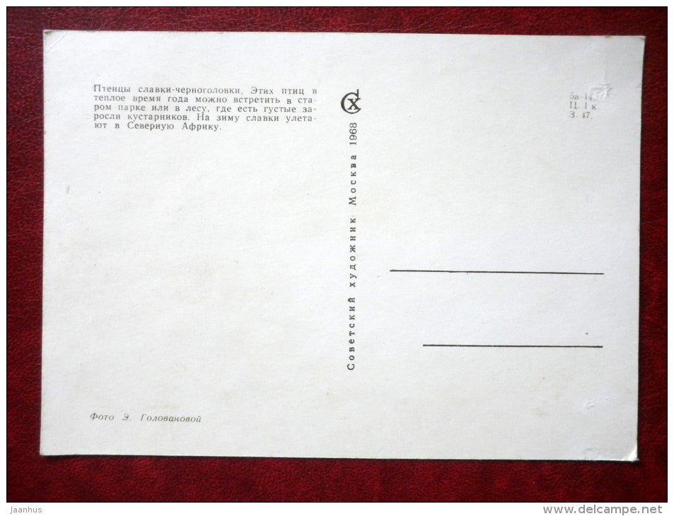 Eurasian Blackcap - Sylvia atricapilla - Birds - 1968 - Russia USSR - unused - JH Postcards