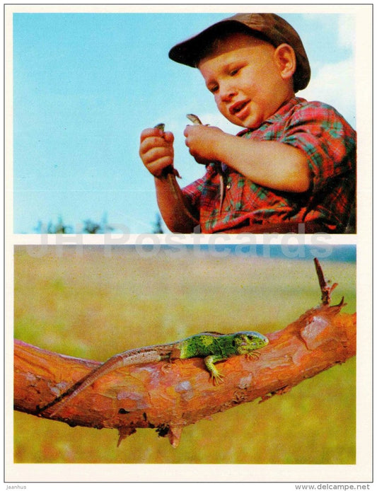 Lizard - boy - Nature Encounter - 1973 - Russia USSR - unused - JH Postcards