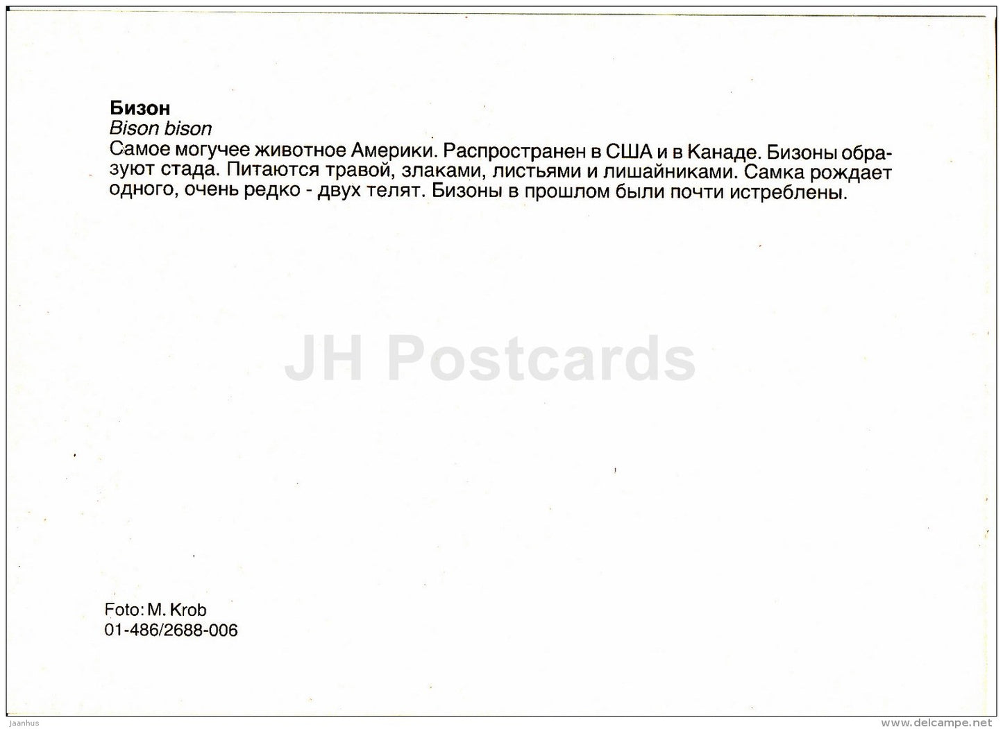 Bison - Bison bison - animals - Zoo - Czechoslovakia - unused - JH Postcards