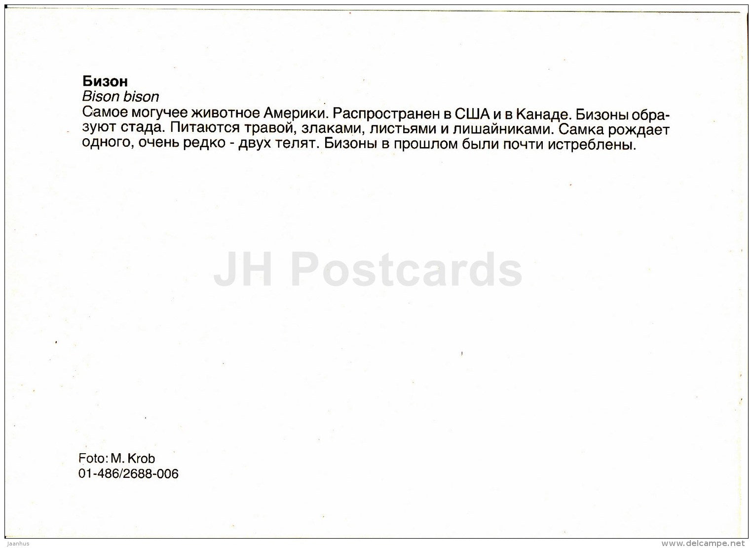 Bison - Bison bison - animals - Zoo - Czechoslovakia - unused - JH Postcards