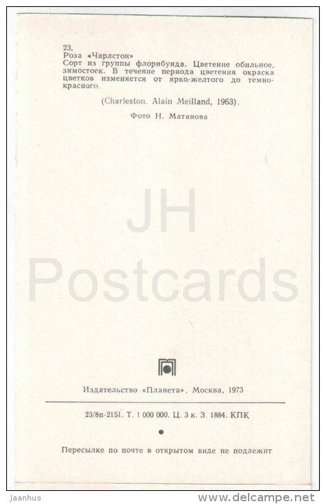 Charleston - flowers - Roses - Russia USSR - 1973 - unused - JH Postcards