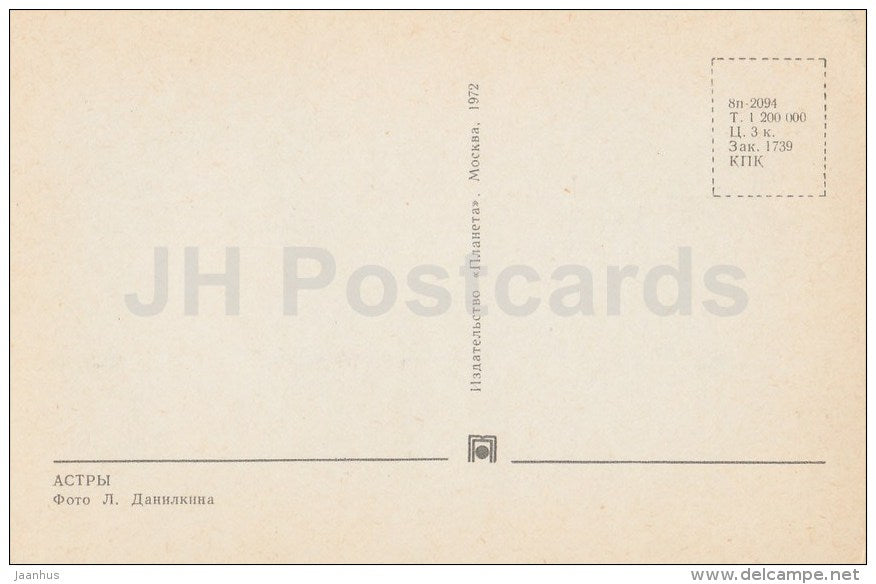 Aster - flowers - 1972 - Russia USSR - unused - JH Postcards