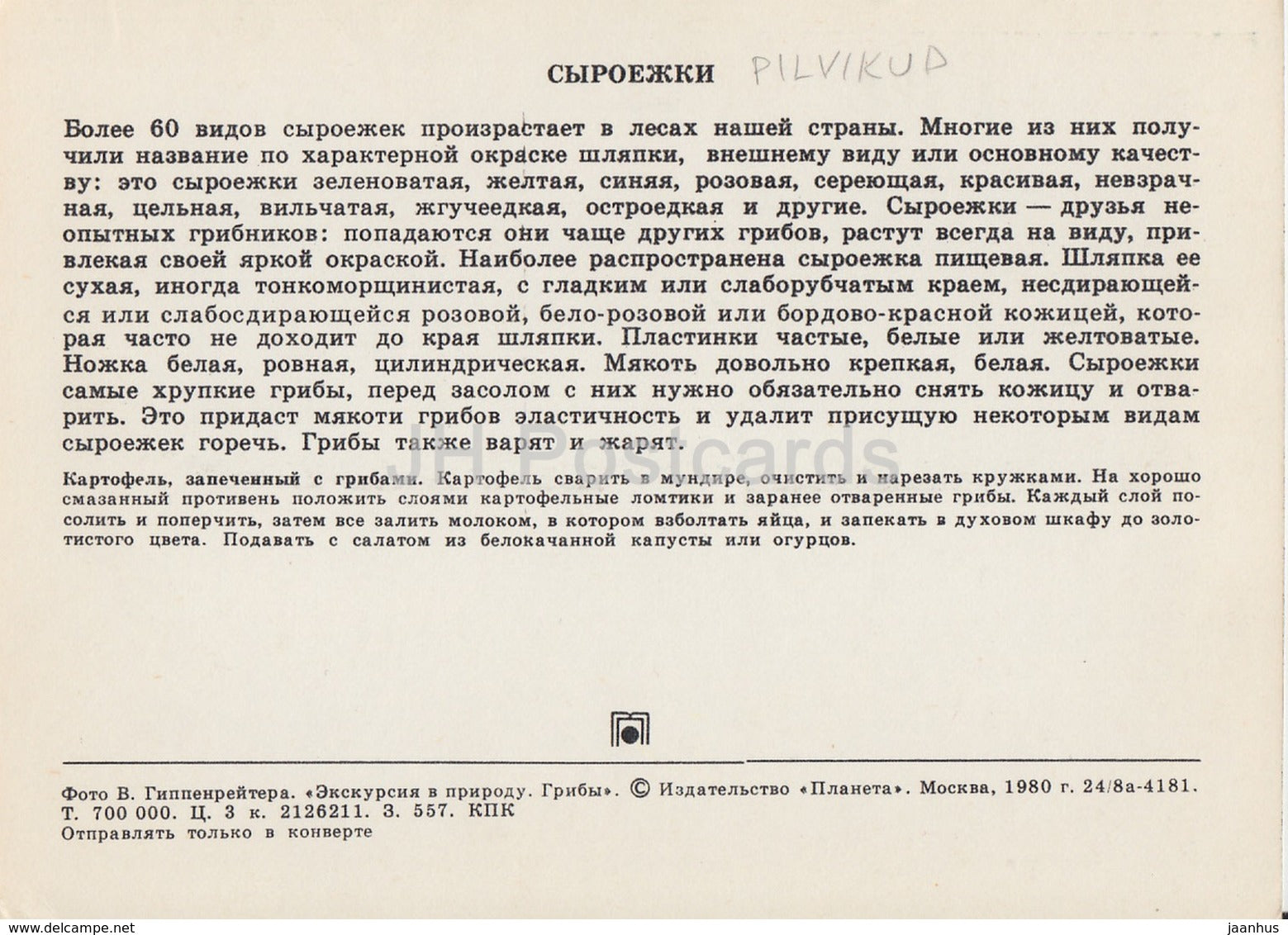 Russula - Mushrooms - 1980 - Russia USSR - unused - JH Postcards