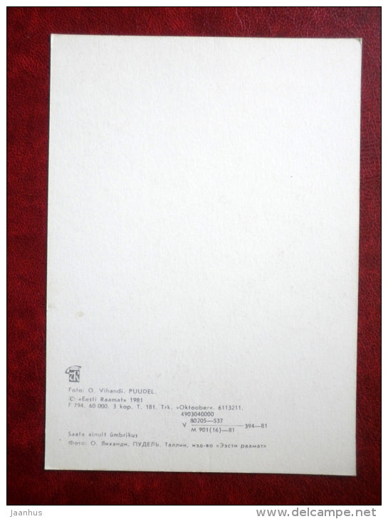 Poodle - dogs - 1981 - Estonia USSR - unused - JH Postcards