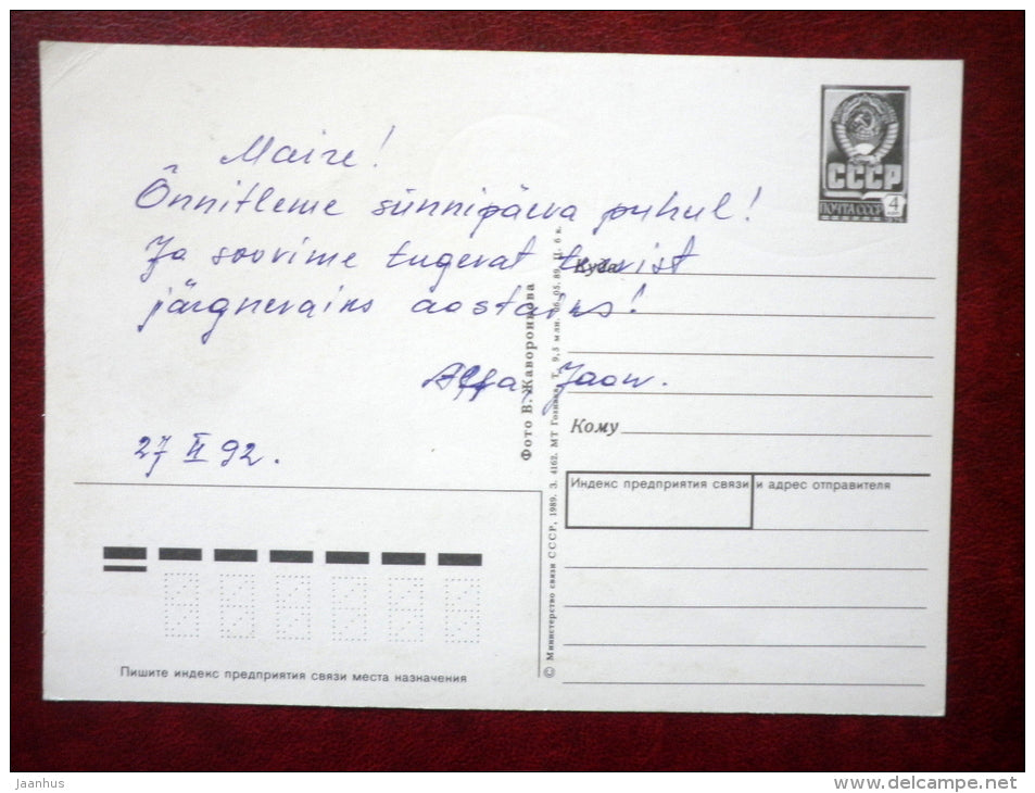 Greeting card - catkin - plants - 1989 - Russia USSR - used - JH Postcards