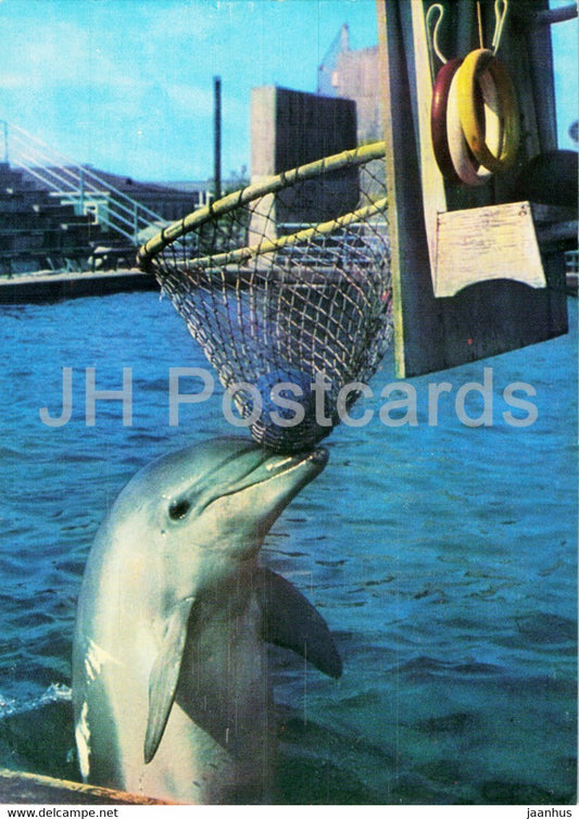 Batumi Dolphinarium - dolphin - basketball - 1980 - Georgia USSR - unused - JH Postcards