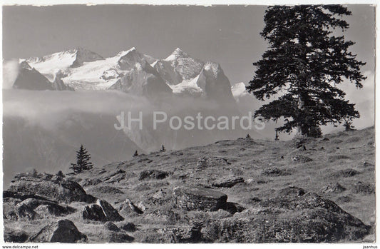 Hasliberg - Magisalp - Wetterhorner - 12524 - Switzerland - 1959 - used - JH Postcards