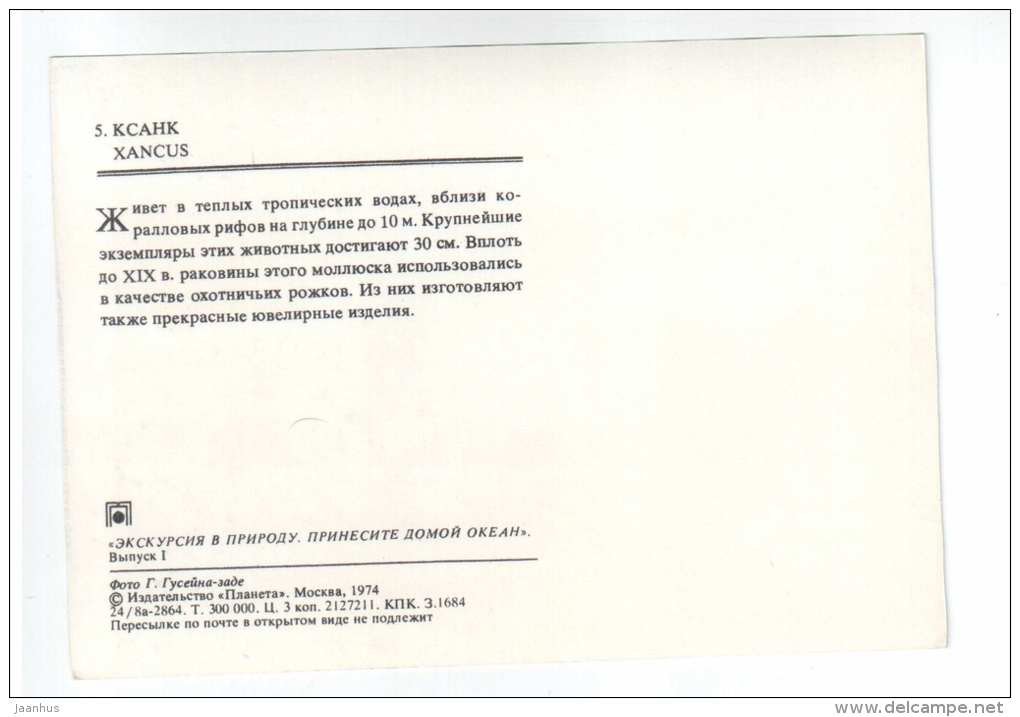Xancus - shells - clams - mollusc - 1974 - Russia USSR - unused - JH Postcards