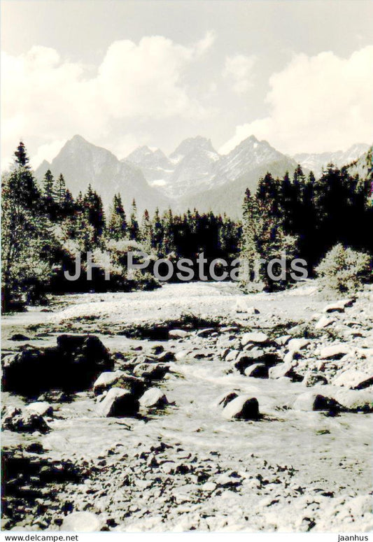 Vysoke Tatry - Pohlad z Bielovodskej doliny na Mlynara - Rysy - High Tatras - Slovakia - Czechoslovakia - unused - JH Postcards