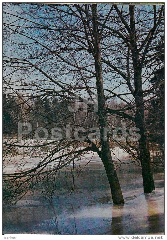 spring - 1981 - Russia USSR - unused - JH Postcards
