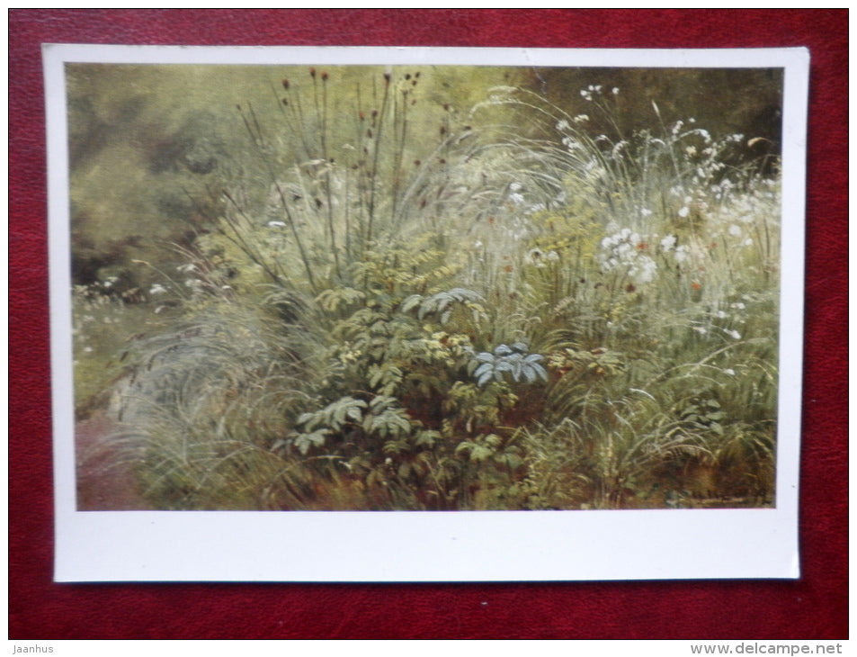 painting by I. Shishkin , Leaves of Grass , 1892 - russian art - unused - JH Postcards