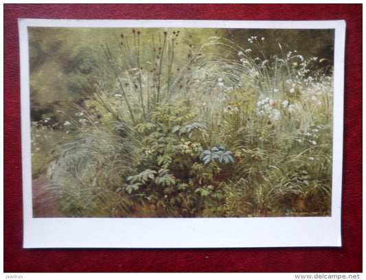 painting by I. Shishkin , Leaves of Grass , 1892 - russian art - unused - JH Postcards