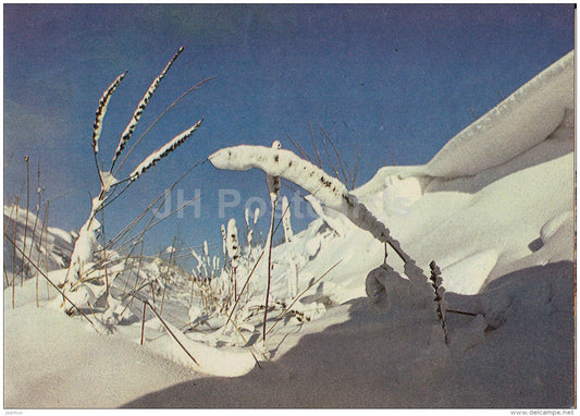 New Year Greeting Card - winter landscape - 1984 - Estonia USSR - used - JH Postcards