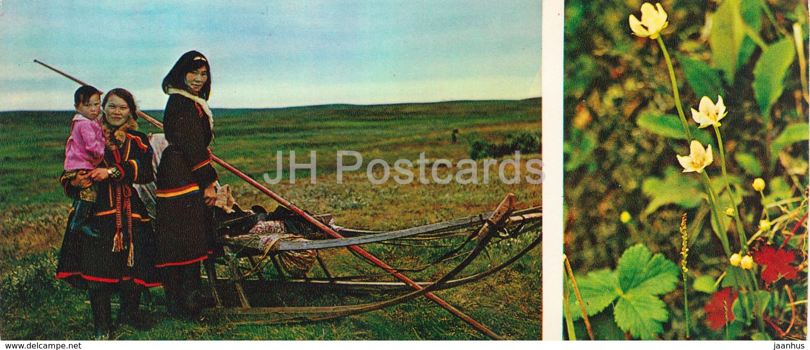 Belogor - native people - folk costumes - reindeer sledge - Tundra in bloom - 1973 - Russia USSR - unused - JH Postcards
