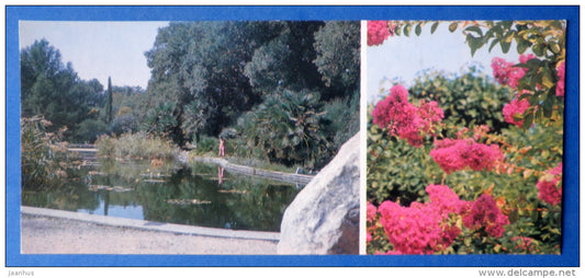 pool of exotic water plants in Montedor Park - Crape myrtle - Nikitsky Botanical Garden - 1981 - Ukraine USSR - unused - JH Postcards