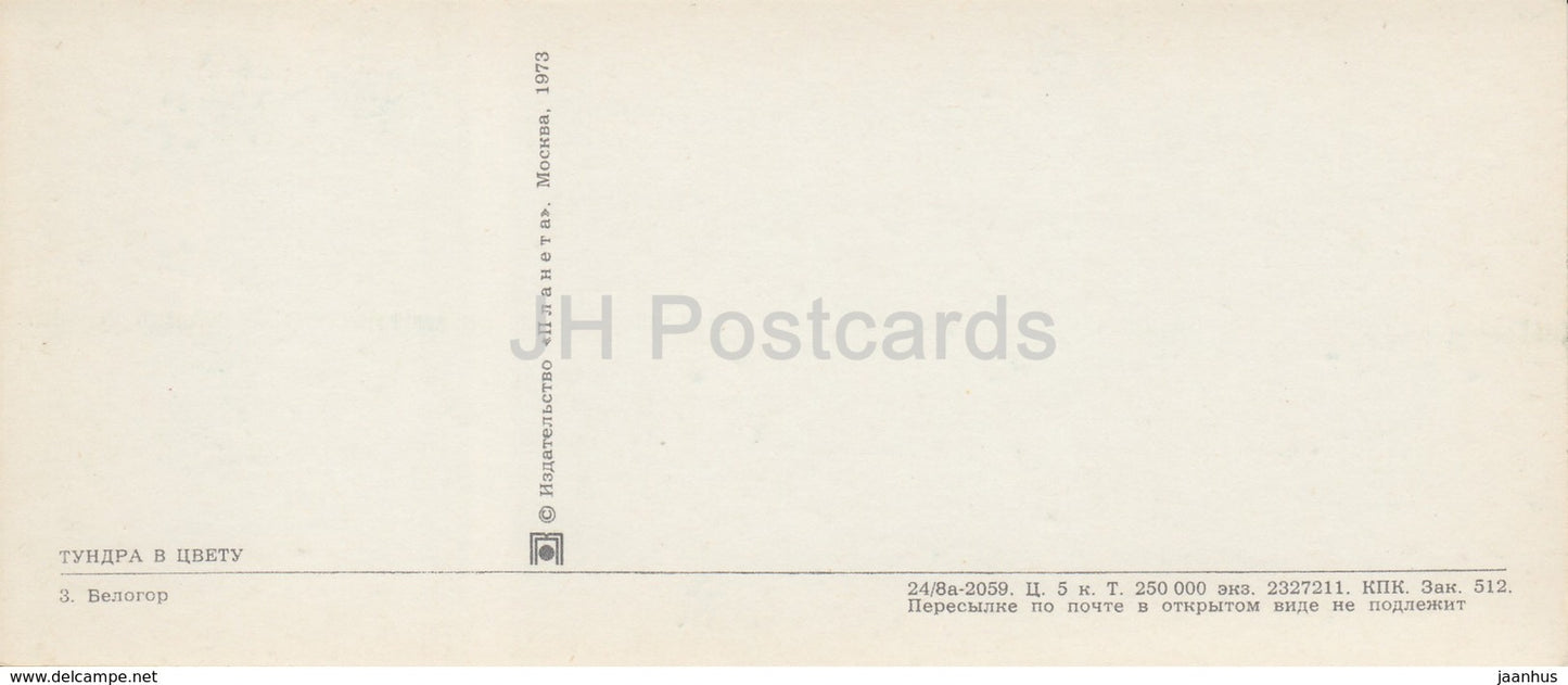 Belogor - native people - folk costumes - reindeer sledge - Tundra in bloom - 1973 - Russia USSR - unused