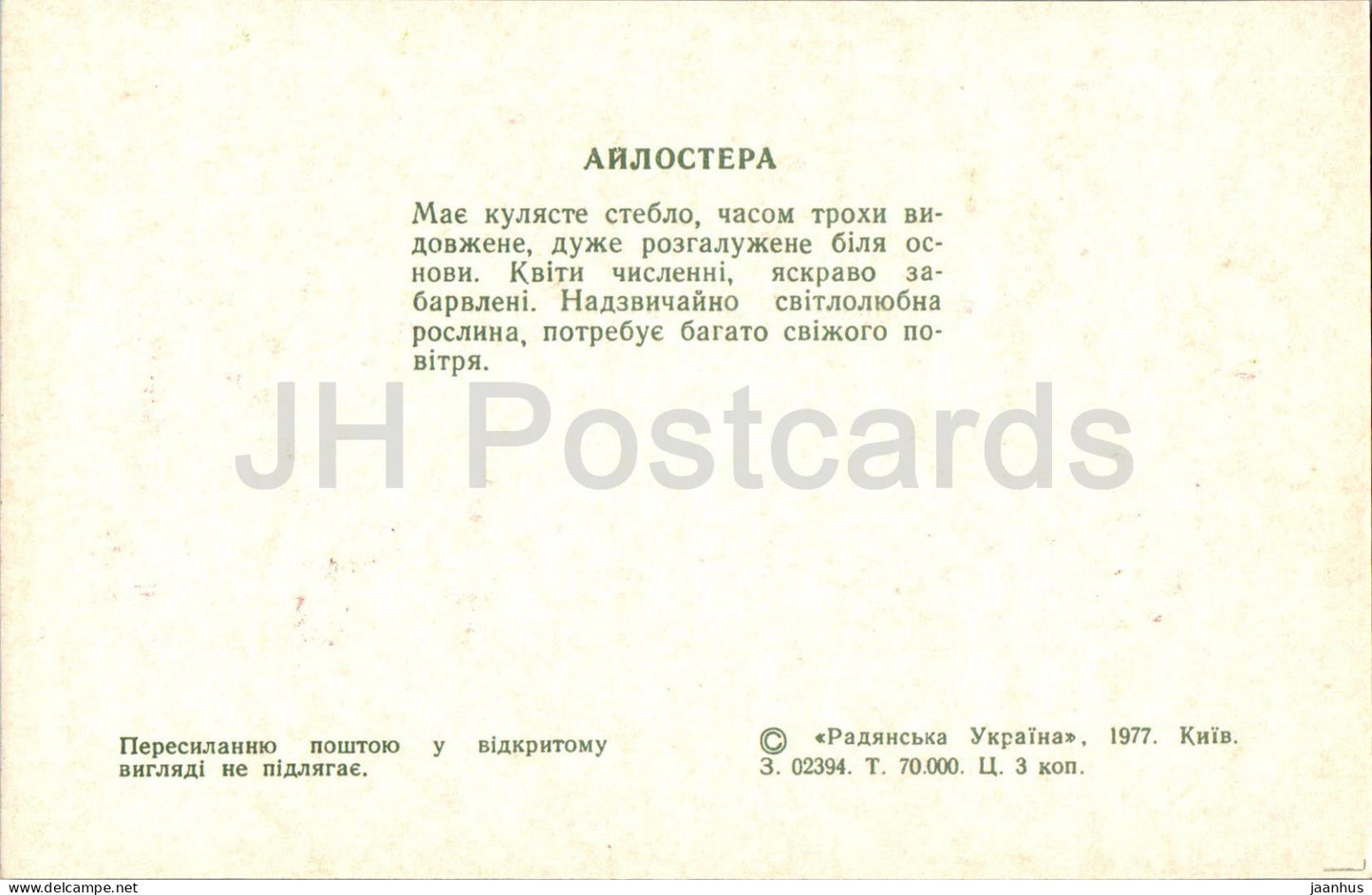 Aylostera - Kakteen - Kaktus - Blumen - 1977 - Ukraine UdSSR - unbenutzt 