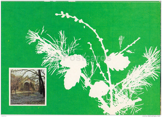 Branch of Botanical Garden of Moscow State University - Moscow Botanical Garden - 1988 - Russia USSR - unused - JH Postcards