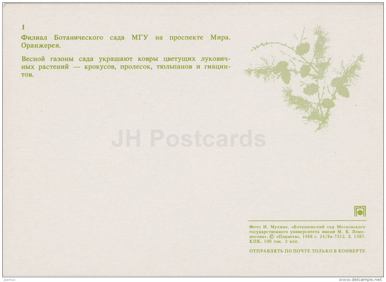Branch of Botanical Garden of Moscow State University - Moscow Botanical Garden - 1988 - Russia USSR - unused - JH Postcards