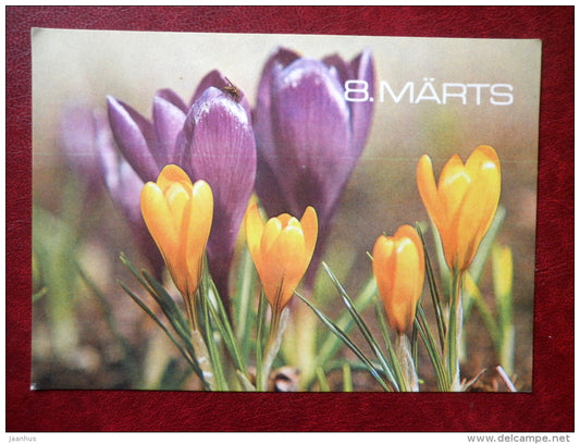 8 March Greeting Card - crocus - flowers - 1981 - Estonia USSR - used - JH Postcards