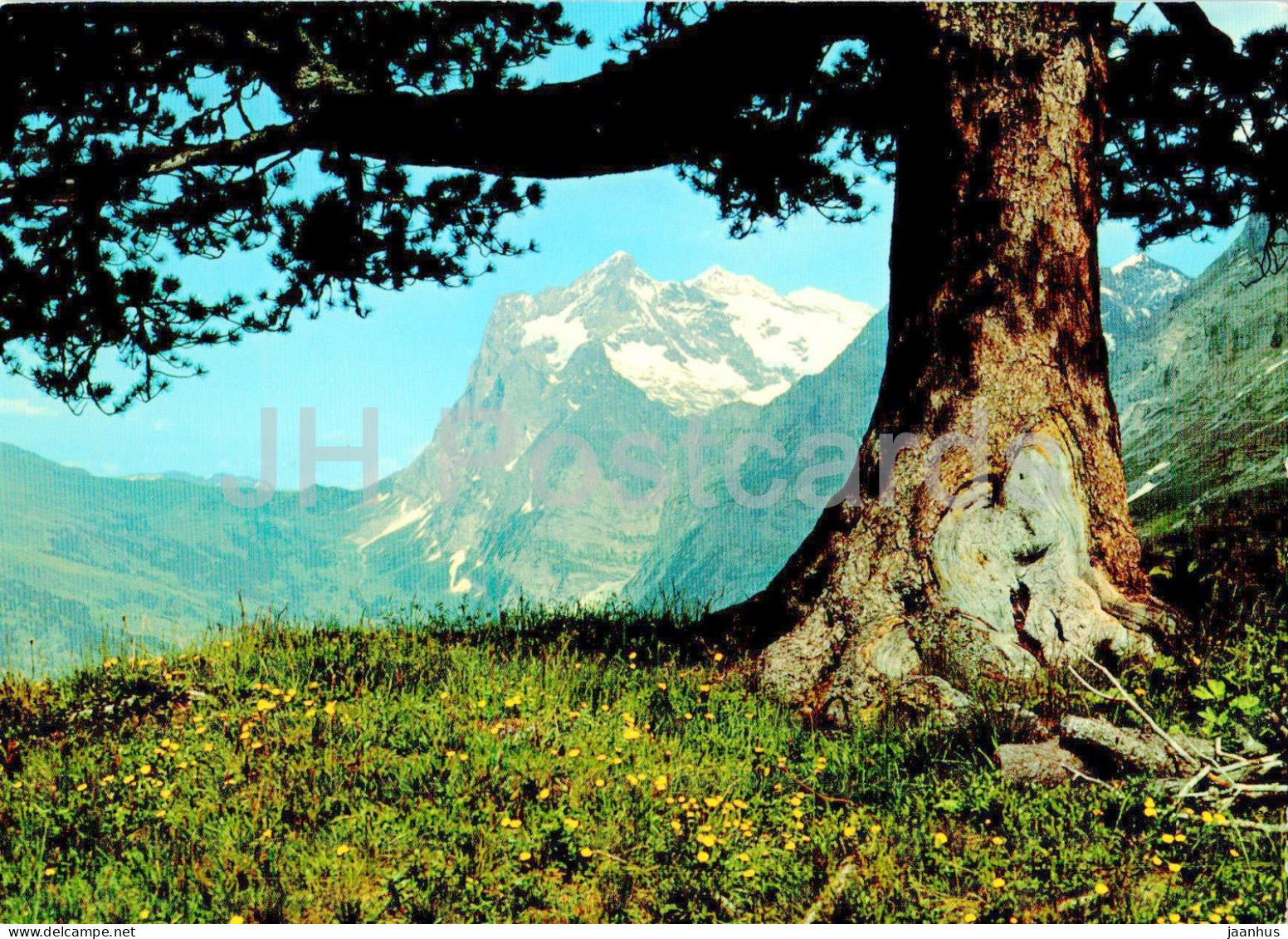 Wetterhorn 3701 m - 19370 - Switzerland - unused - JH Postcards