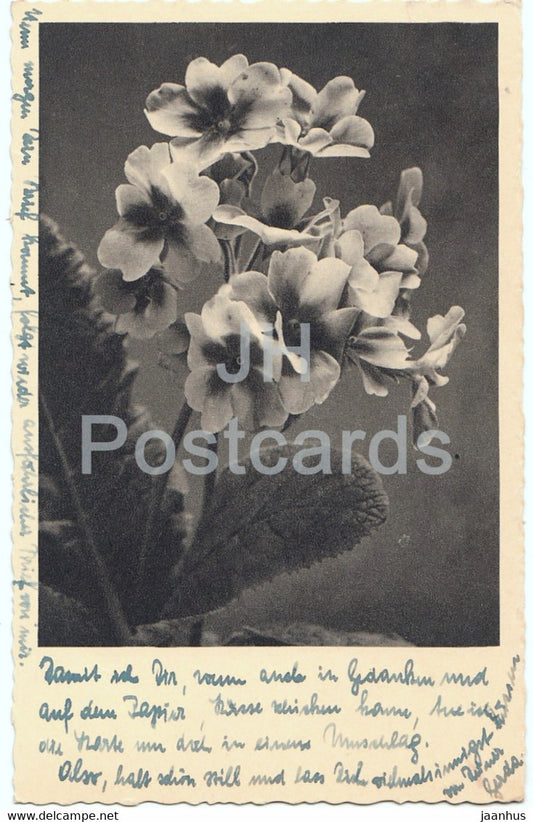 Flowers - Feldpost - 792 - old postcard - 1939 - used - JH Postcards