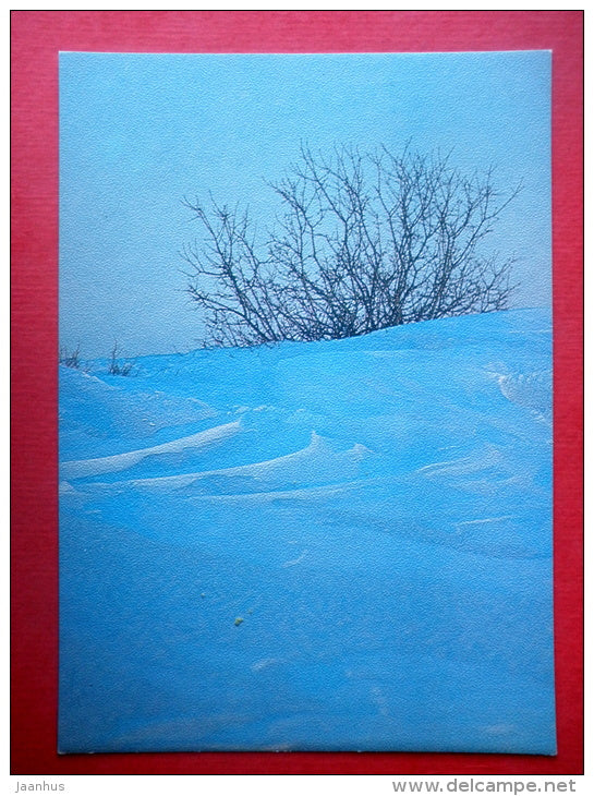 Estonia in Winter - landscape - IX - 1988 - Estonia USSR - unused - JH Postcards