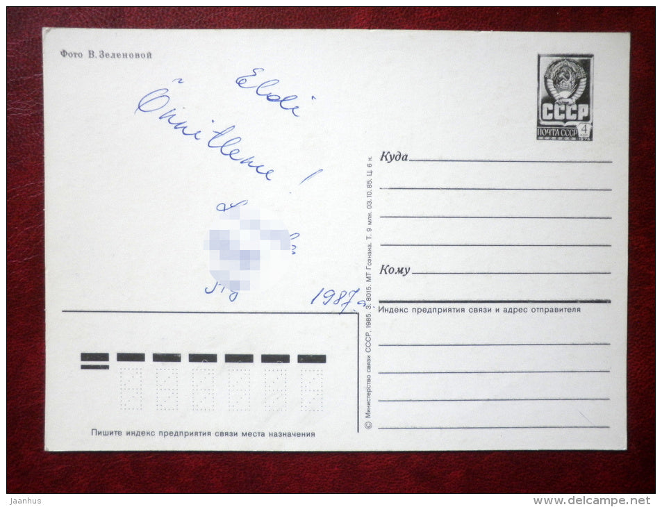 daisy , lily - 1985 - Russia USSR - used - JH Postcards