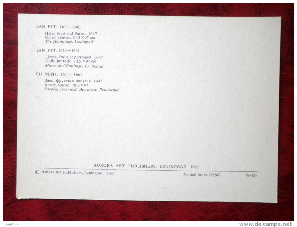 Painting by Jan Fyt - Still Life - Hare, Fruit and Parrot . 1647 - flemish art - unused - JH Postcards