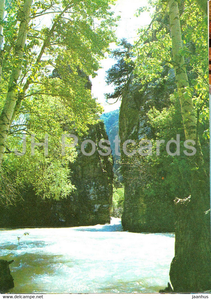 Koksuisky gap - Koksu - Nature Trails - 1981 - Uzbekistan USSR - unused - JH Postcards